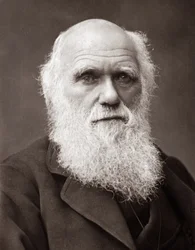 The English Naturalist Charles Robert Darwin