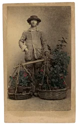 Venetian Costumes and Masks: A Peddler of Plants