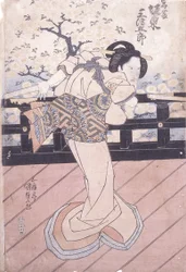 Bando Mitsugoro As Iwafuji