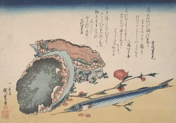 Abalone, Half Beak, and Peach blossom