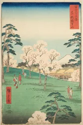 Asuka Hill in the Eastern Capital (Toto Asukayama), from the series 