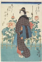 Beauty in Peony Garden