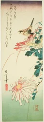 Bird and Chrysanthemums