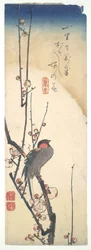 Bird on Blossoming Plum Tree