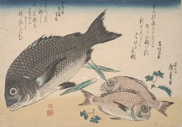 Black Sea Bream, Small Sea Bream, Asparagus Shoots, and Sansho Pepper, c.1830