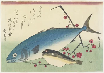 Bonito, Globefish and a Spray of Blossoming Plum