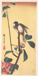 Camellia and Blue-Headed Bird