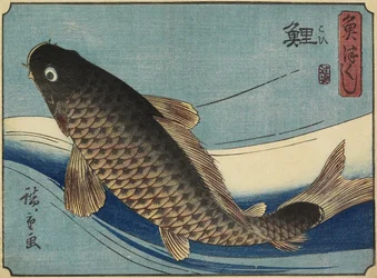 Carp, 1830-1844