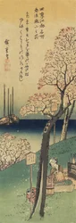 Cherry Blossoms on Gotenyama, Spring