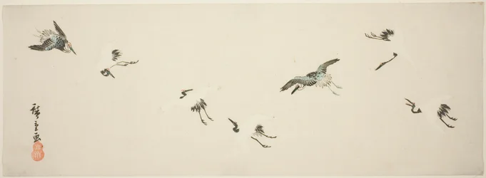 Cranes in Flight