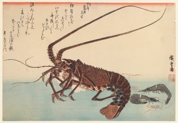 Crayfish and Two Shrimps, from the Great Fish Series