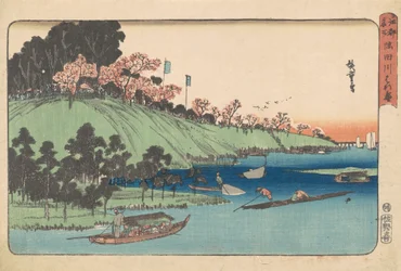Full Bloom Along the Sumida River
