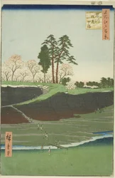 Goten Hill at Shinagawa (Shinagawa Gotenyama), from the series "One Hundred Famous Views of Edo (Meisho Edo hyakkei)"