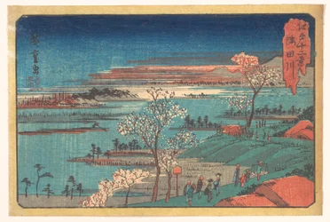 Cherry Blossoms at Gotenyama