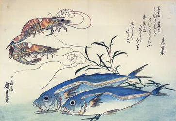 Horse-Mackerel and Prawns