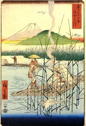 The Sagami River