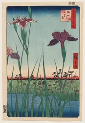 Horikiri Iris Garden