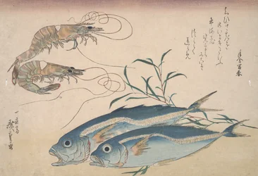 Horse Mackerel, Freshwater Prawns, and Seaweed, c.1832