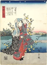 Ide in Yamashiro Province