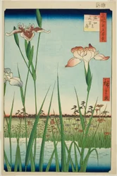 Irises at Horikiri, from the series "One Hundred Famous Views of Edo"