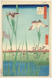 Irises at Horikiri, from the series "One Hundred Famous Views of Edo"