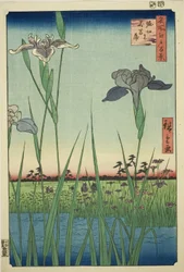 Irises at Horikiri, from the series "One Hundred Famous Views of Edo"