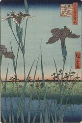 Irises of Horikiri, from the series One Hundred Famous Views of Edo