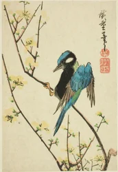 Java sparrow on cherry branch