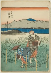 Kusatsu, from the series "Fifty-three Stations [of the Tokaido]," also known as the Figure Tokaido