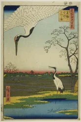 Minowa, Kanasugi, Mikawashima, from the series 