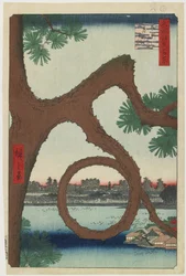 Moon Pine, Ueno Temple Precincts, August 1857