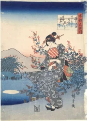 Noji: Six Tama Rivers