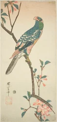 Parrot on a Blossoming Branch