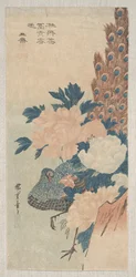 Peacock and Peonies, c.1830