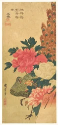 Peonies and Peacock