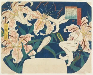 Roku, Spotted Lilies