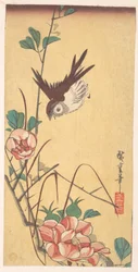 Roses and Sparrow