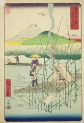 Sagami River, from the series 