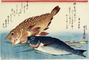 Scorpionfish, Chicken Grunt and Ginger Shoots