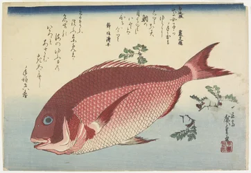 Sea Bream and Sansho Sprigs, c.1832
