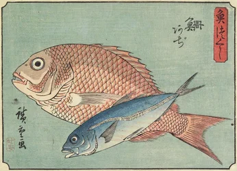 Snapper and Horse Mackerel