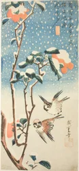 Sparrows and Camellia in Snow