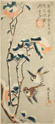 Sparrows and Camellia in Snow