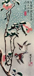 Sparrows and Camellias in the Snow