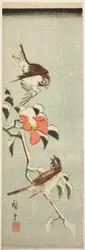 Sparrows and Camellia in Snow