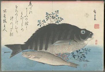 Striped Sea Bream, Rock Trout and Nandina