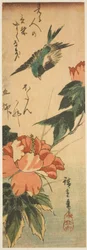 Swallow and Hibiscus