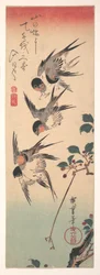 Swallows and Budding Wild Cherry