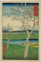 The Outskirts of Koshigaya in Musashi Province, from the series "Thirty-six Views of Mount Fuji"