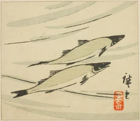 Trout, section of a harimaze sheet